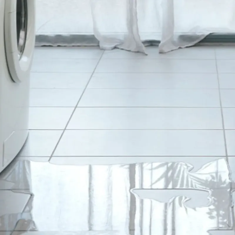 Appliance Leak Cleanup in Shelbyville, MO