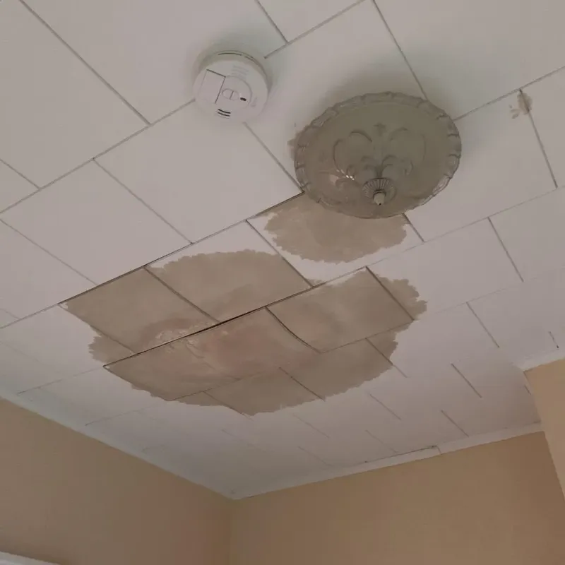 Ceiling Water Damage Repair in Shelbyville, MO