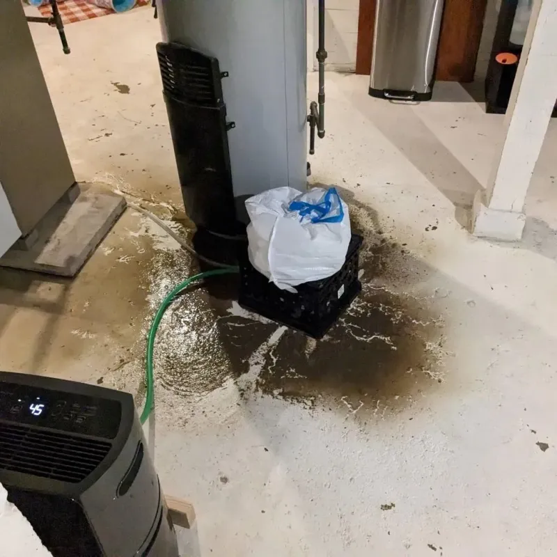 Sewage Backup Cleanup Service in Shelbyville, MO